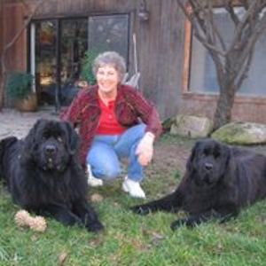 riverdance101 avatar