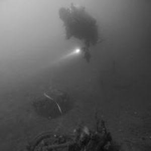 shannonreid5500 avatar