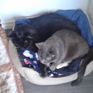 valerie_walker avatar