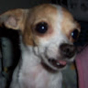 raymondmccauley avatar