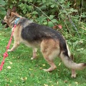 1brightnewday avatar