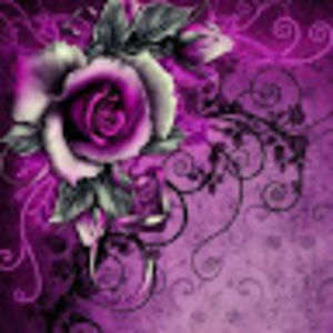 christineclark_1 avatar