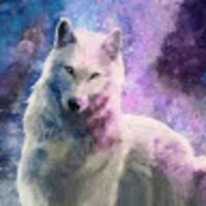 elizabethjiang avatar