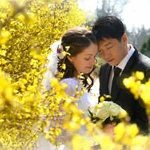 martakovacs88 avatar