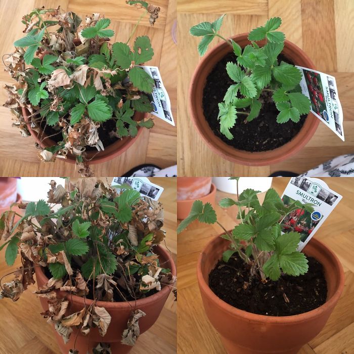 There’s Nothing Like A Good Haircut