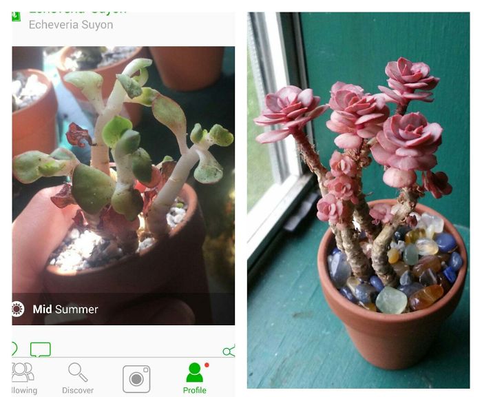 37 Weeks Difference On This Rehab Success