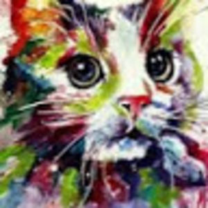 jurneevonderau avatar