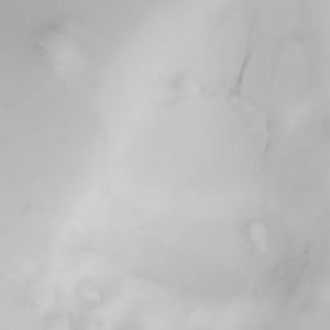 jamie_nassuk_jr_ avatar