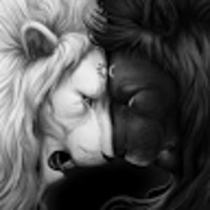 milicastevanovic avatar