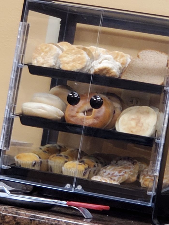 The Happiest Little Bagel