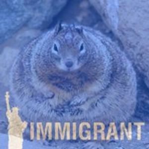 jesus_martinez avatar