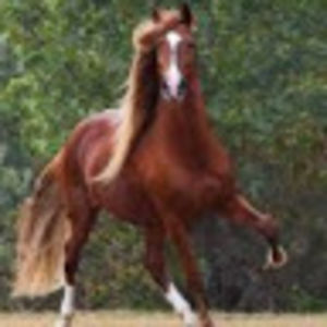 liliyanatymkiv avatar