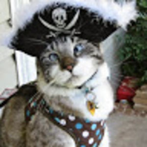 vinnkuueagleman avatar