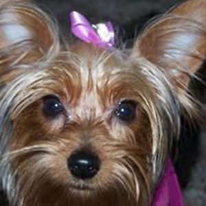 teresaharris583 avatar