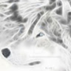 areenkrikorian avatar