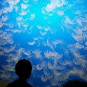 ginamcbride09 avatar