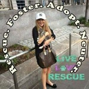 gwenn_rappaport avatar