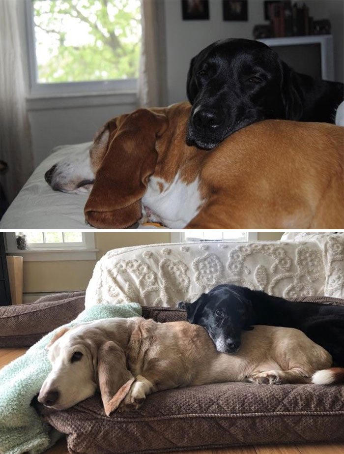 The Color Has Faded Over The Years But Their Love Hasn’t.