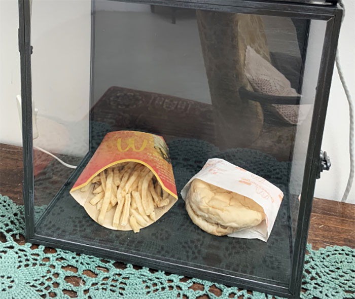 Burger King Releases An Ad Showing How Its New Whopper Will Look In 34 Days