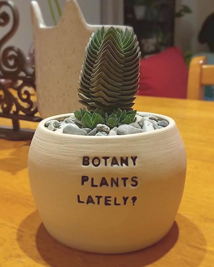 I Make Ceramic Planters With Sassy Botanical Puns (18 Pics)