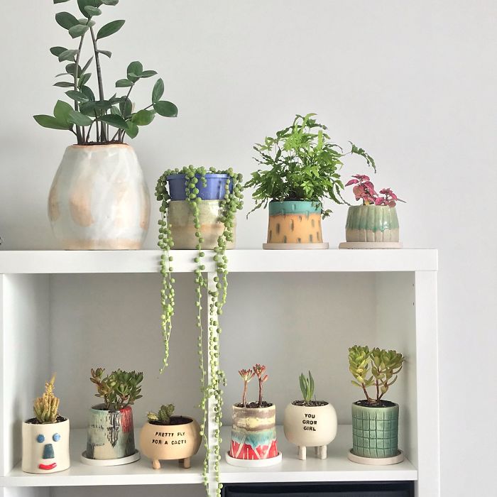 I Make Ceramic Planters With Sassy Botanical Puns (18 Pics)