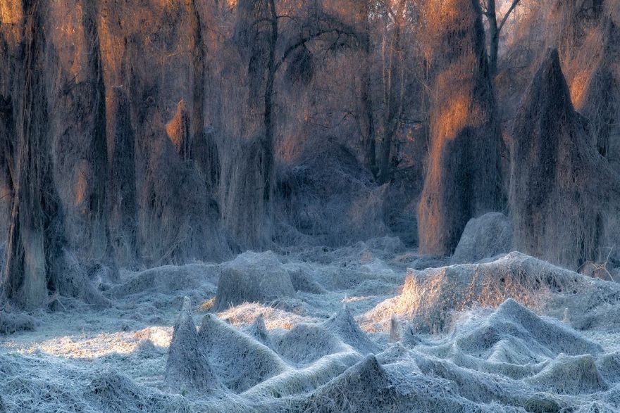 Turin, Italy By Stanislao Basileo
