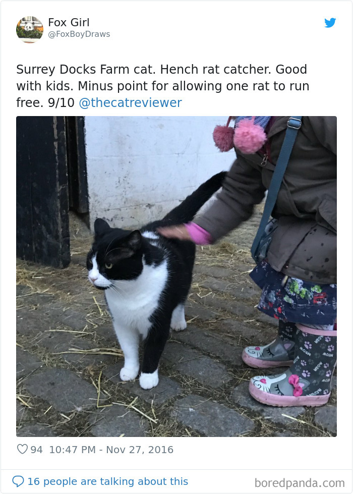 People-Review-Cats-Thecatreviewer