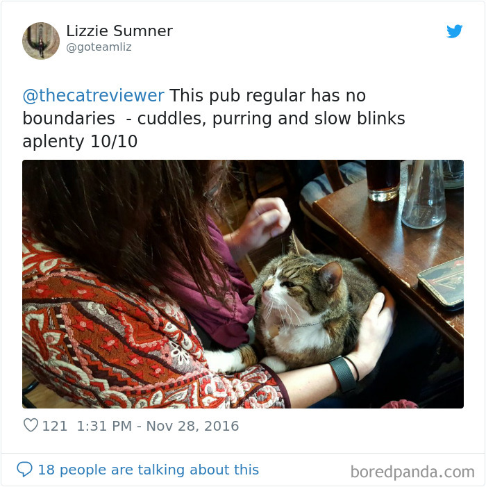 People-Review-Cats-Thecatreviewer