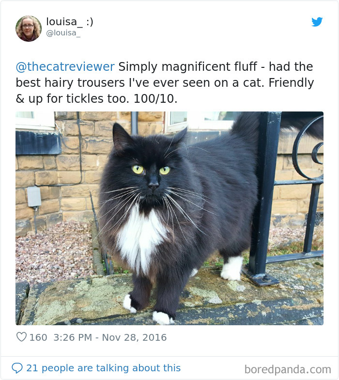 People-Review-Cats-Thecatreviewer