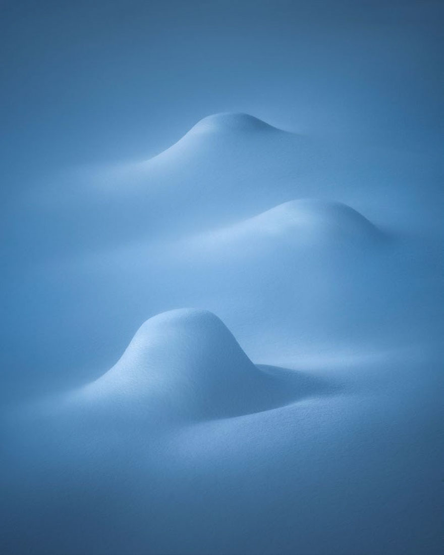 Polar Park, Bardu, Northern Norway By Daniel Laan