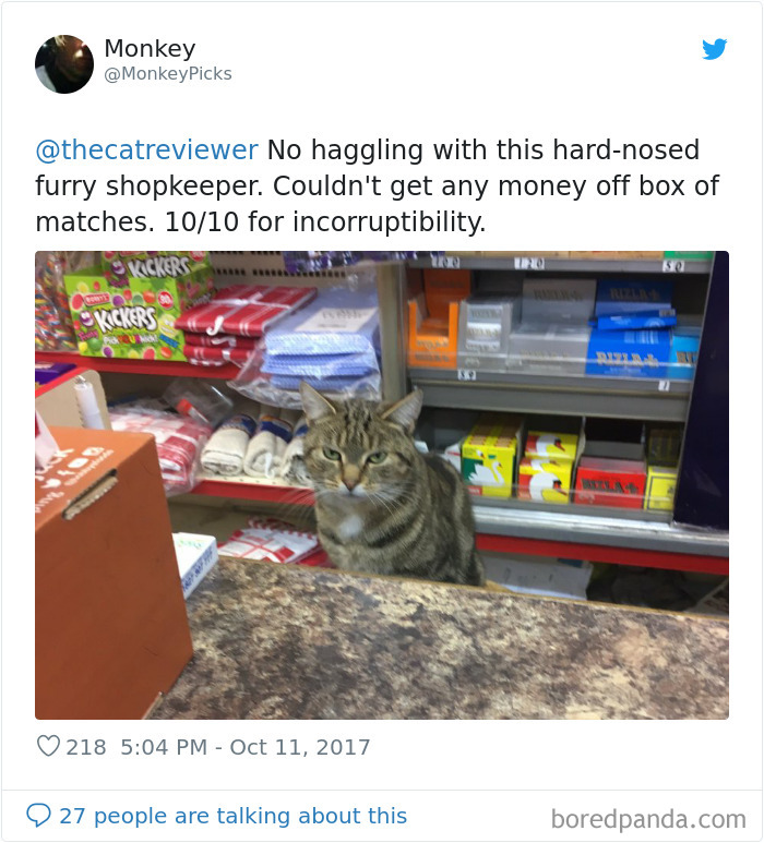 People-Review-Cats-Thecatreviewer