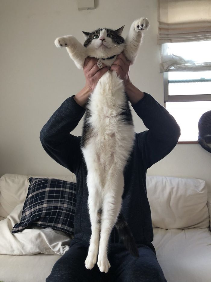 This Is Definitely A Victory