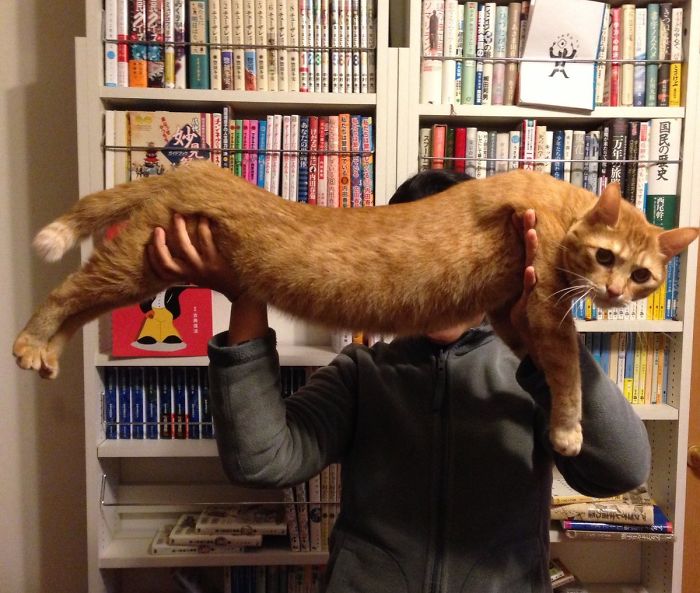 Is There Any Way To Extend It?