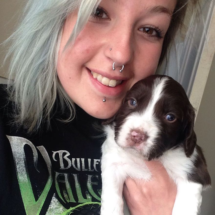 This Cute Dog Has Such Fabulous Hair That It Has Made Him Instagram Famous This Cute Dog Has Such Fabulous Hair That It Has Made Him Instagram Famous