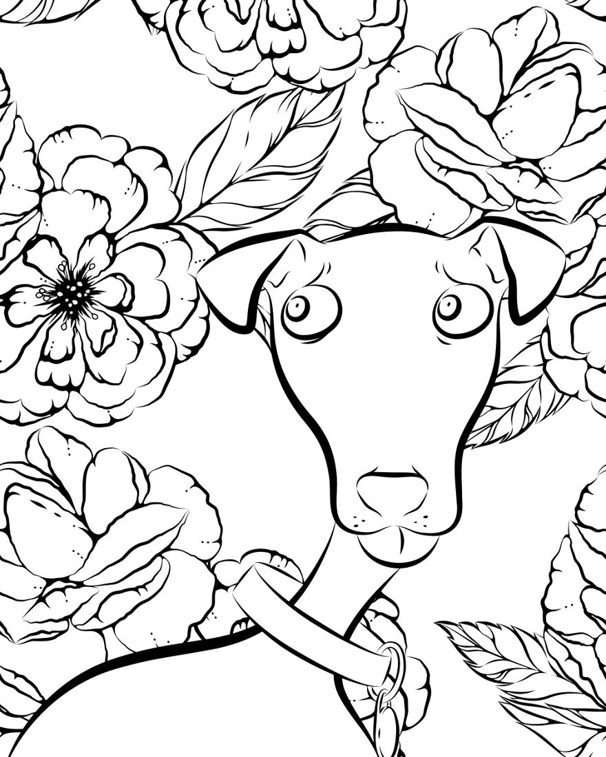 I Made A Coloring Book That Celebrates Derpy Dogs I Made A Coloring Book That Celebrates Derpy Dogs