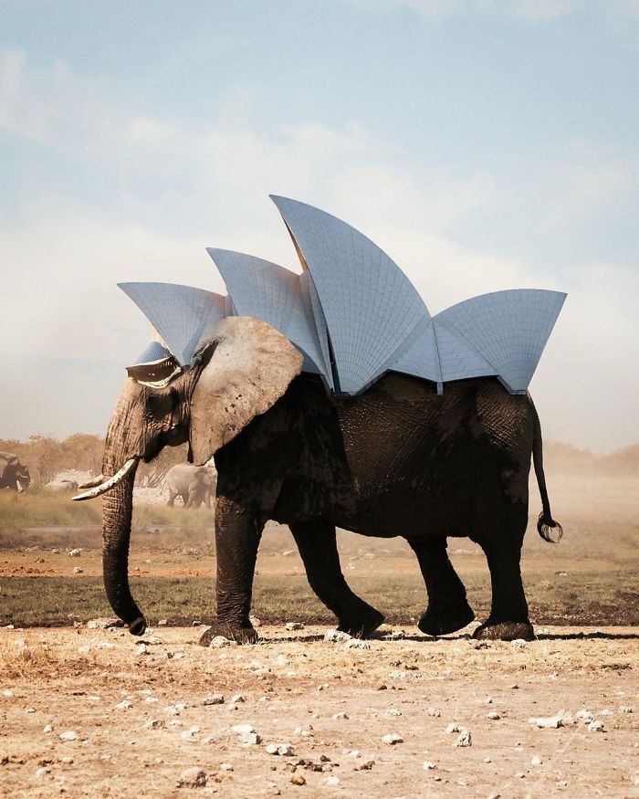 Elephant Opera House