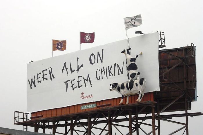 Are You Team Chick-Fil-A Or Team Popeye's?