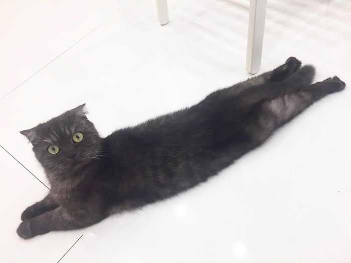 Yes, I’m Totally Fine, Why You Asking?