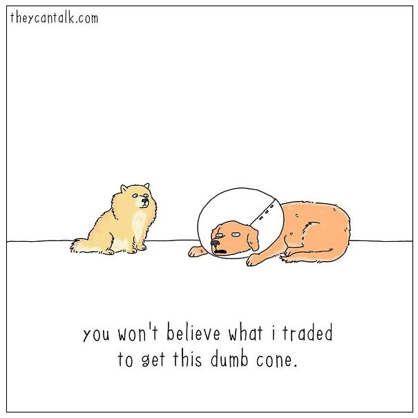 Animals-Comics-They-Can-Talk-Jimmy-Craig