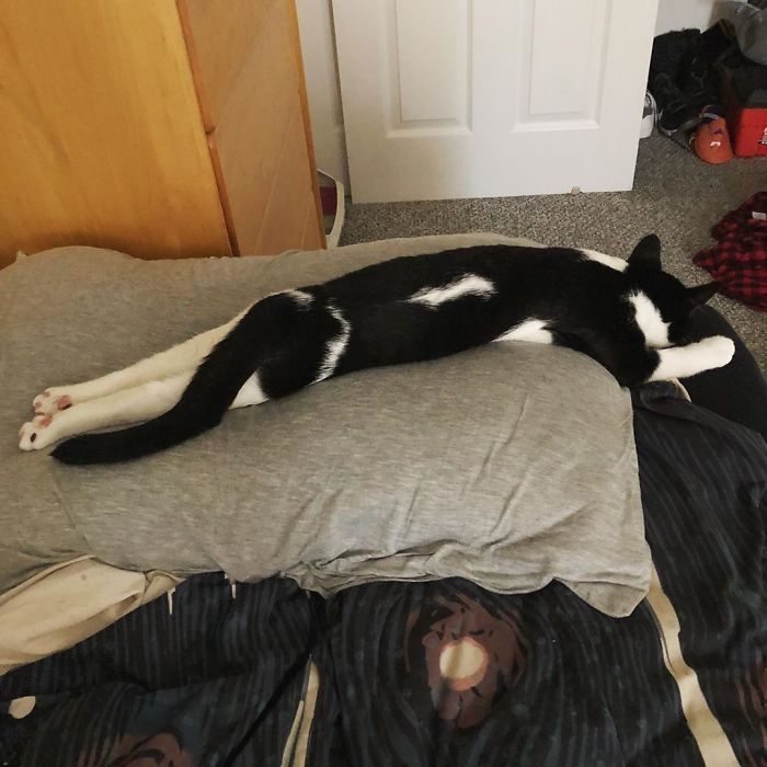 After A Long Day Of Discovering New Planets