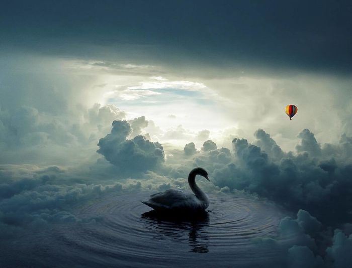 Swimming With The Clouds