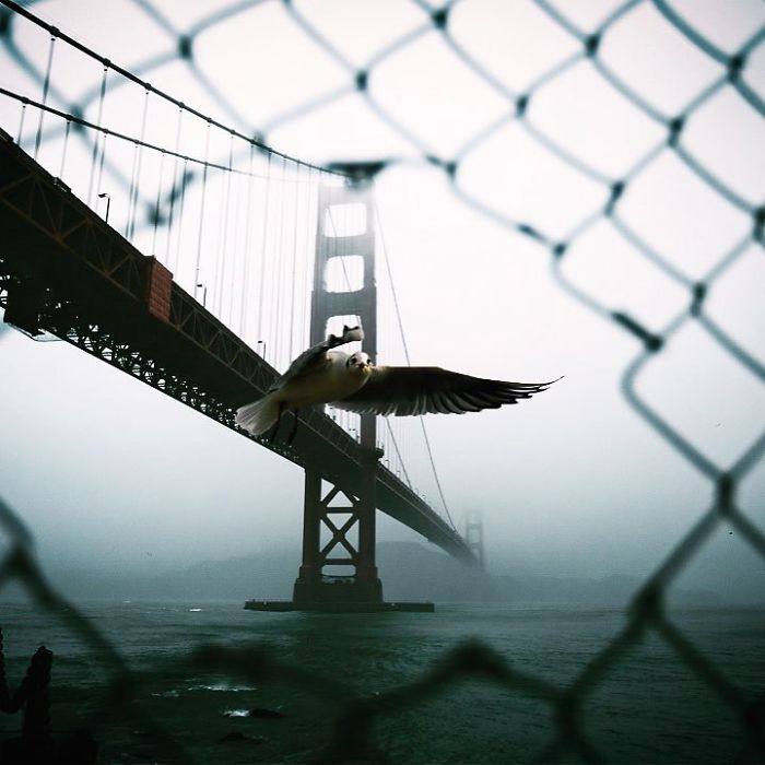 Timing Is Everything