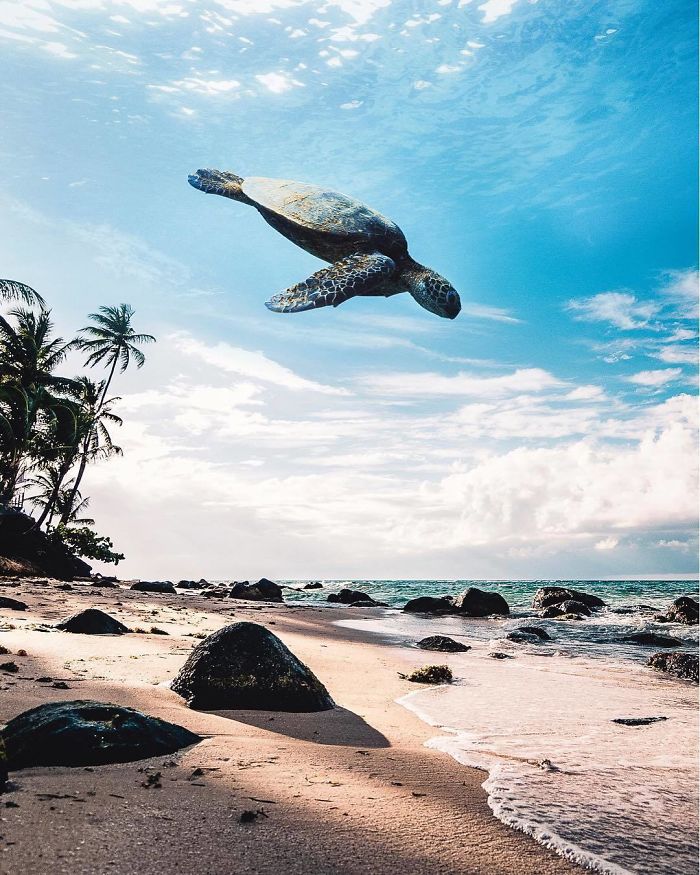 The Journey Is The Destination