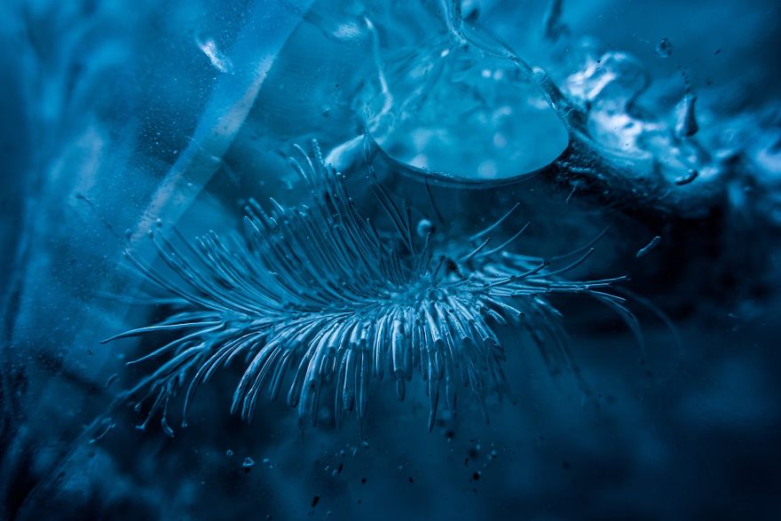 Burbujas Que Llevan Atrapadas Millones De Años