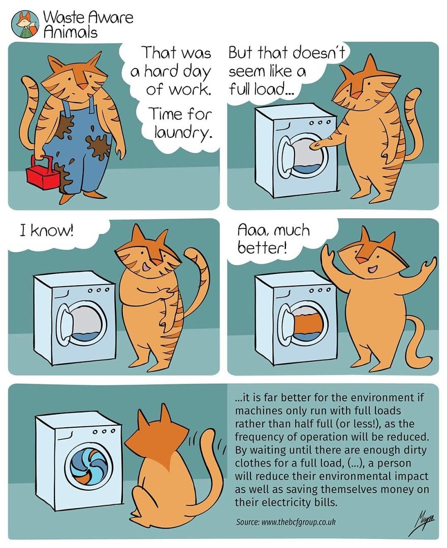 I Create A Comics To Share My Funny Struggle With Zero Waste Living