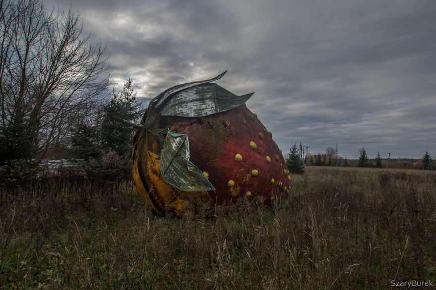 I Found A Large Abandoned Strawberry In Poland