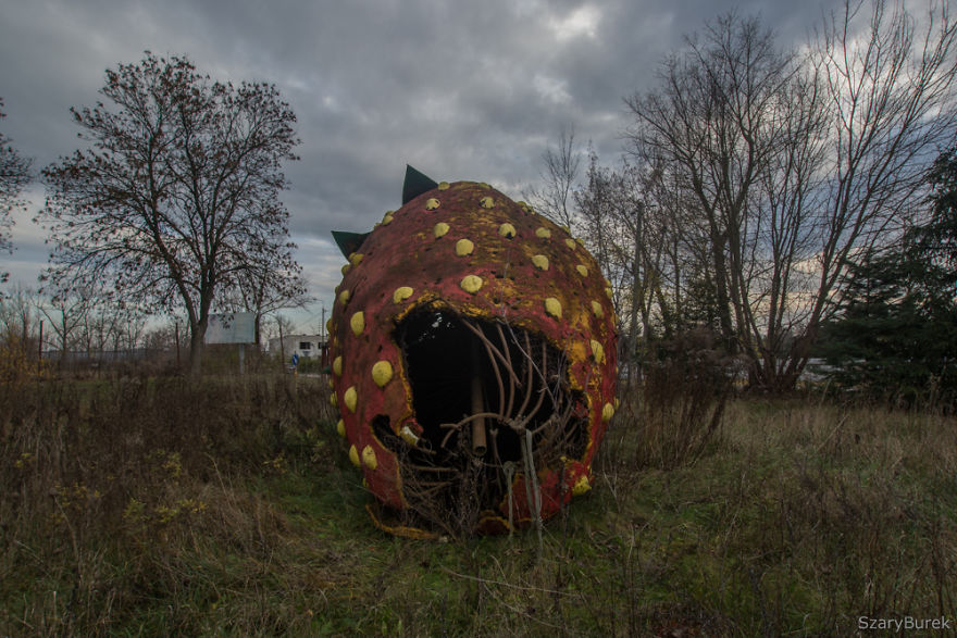 I Found A Large Abandoned Strawberry In Poland