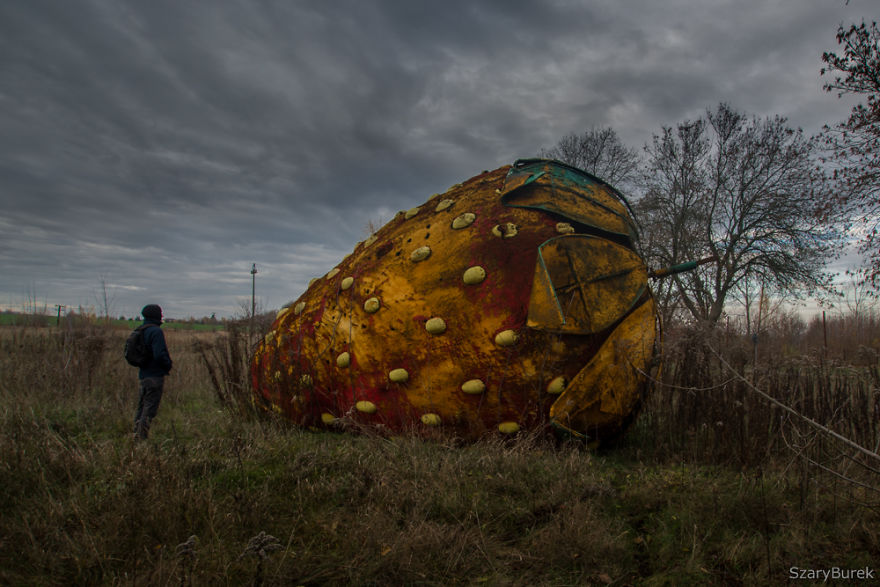 I Found A Large Abandoned Strawberry In Poland