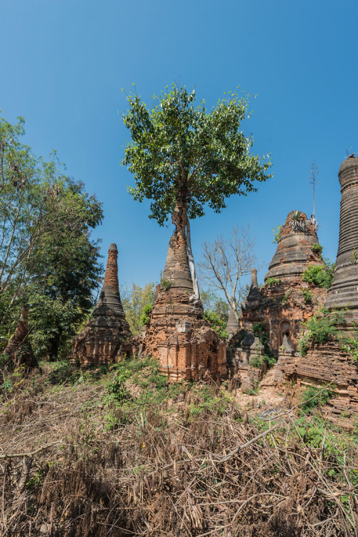 The Lost Treasures Of Buddha