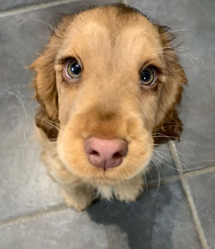 Her Eyes Look Like A Disney Character's Eyes